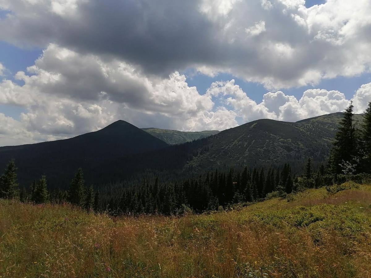 Котедж Віадук Vorokhta Exterior photo